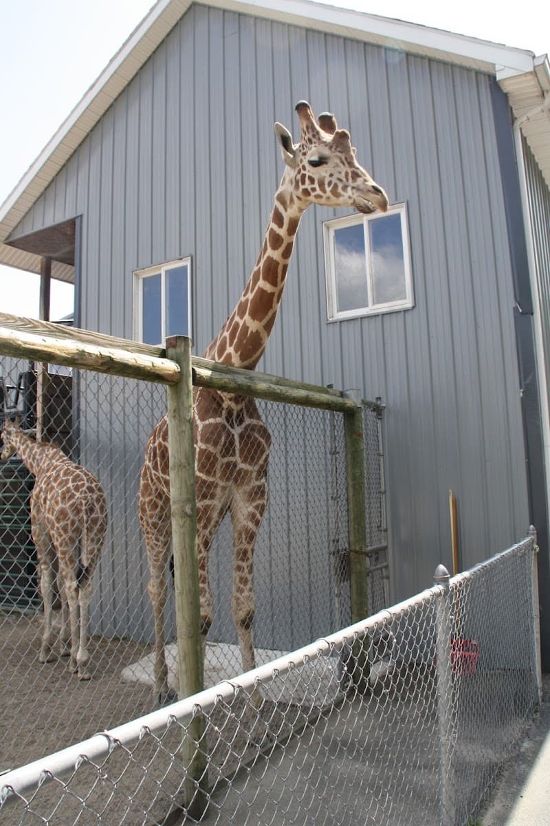 Adirondack Animal Land