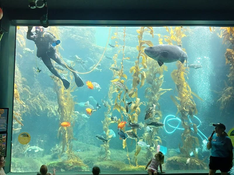 Birch Aquarium