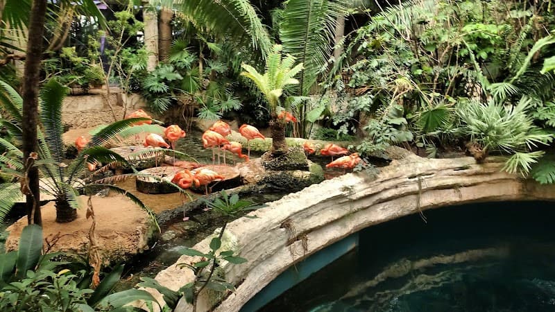 The Dallas World Aquarium